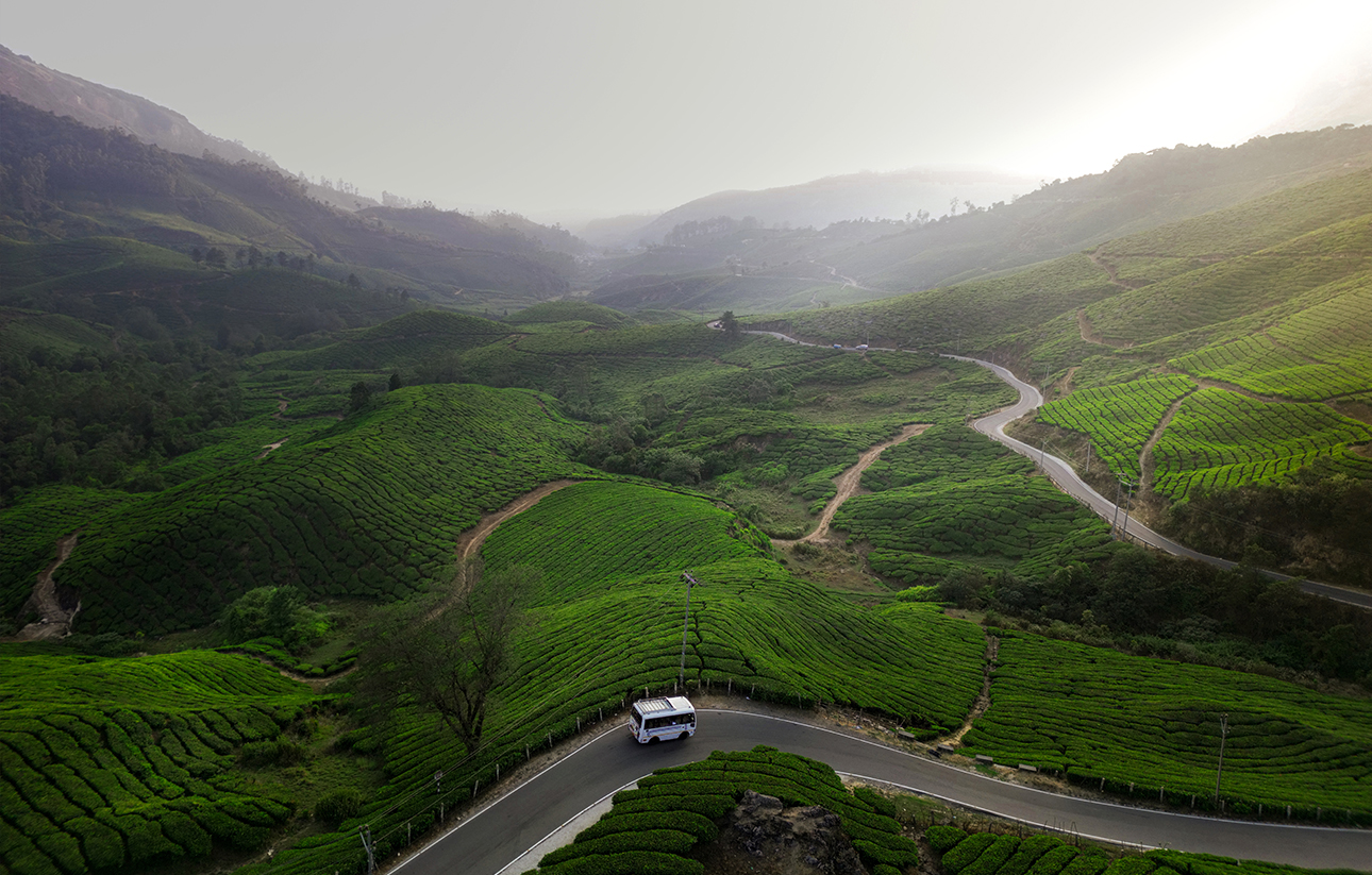 munnar hills