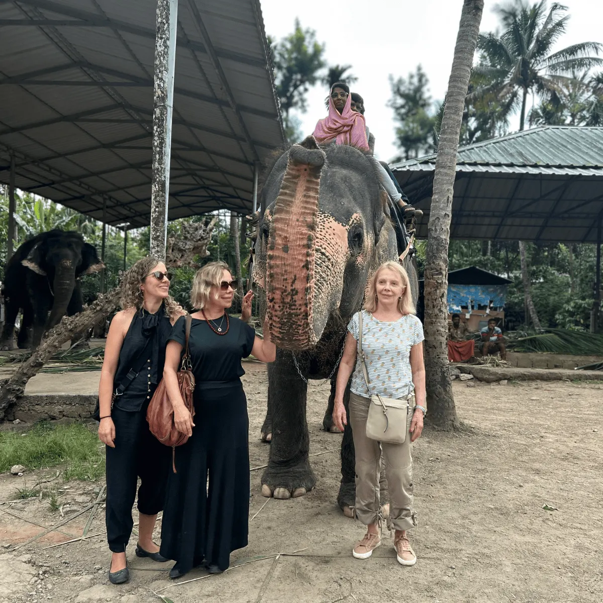 elephant ride
