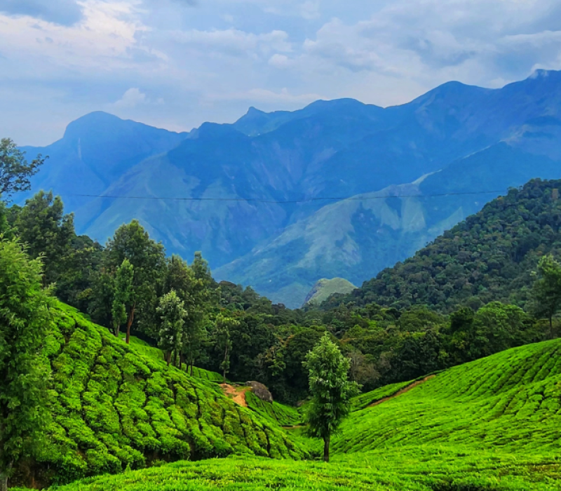 munnar