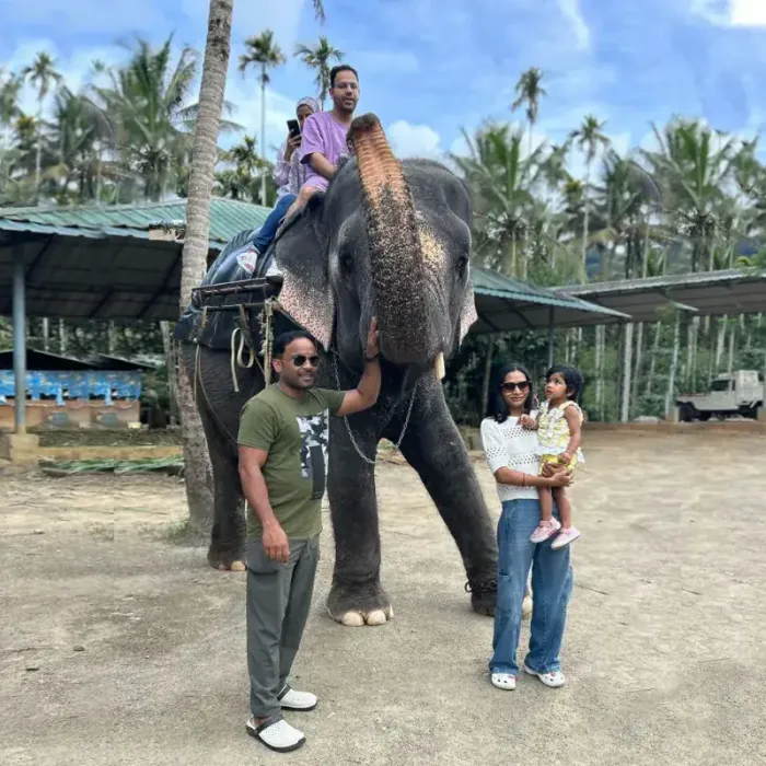 elephant safari